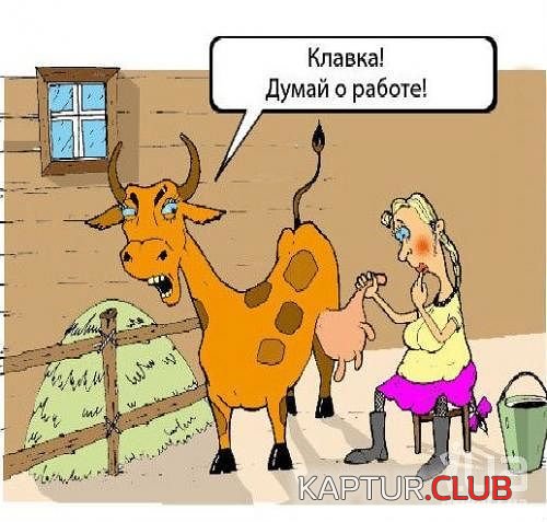 image (36).jpg | Рено Каптур Клуб Россия | Форум KAPTUR.SU