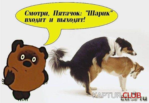 image (38).jpg | Рено Каптур Клуб Россия | Форум KAPTUR.SU