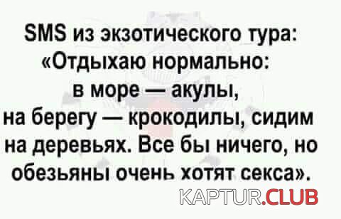 image (4).jpg | Рено Каптур Клуб Россия | Форум KAPTUR.SU