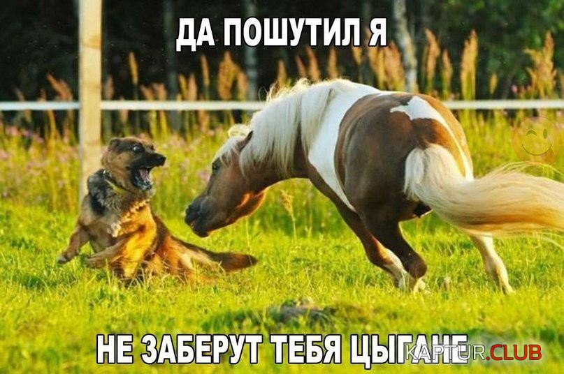 image-4.jpg | Рено Каптур Клуб Россия | Форум KAPTUR.SU