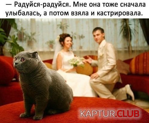 image (40).jpg | Рено Каптур Клуб Россия | Форум KAPTUR.SU
