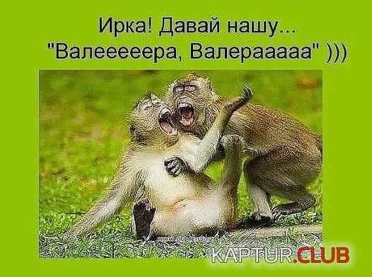image (5).jpg | Рено Каптур Клуб Россия | Форум KAPTUR.SU