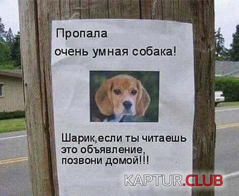 image (5).jpg | Рено Каптур Клуб Россия | Форум KAPTUR.SU