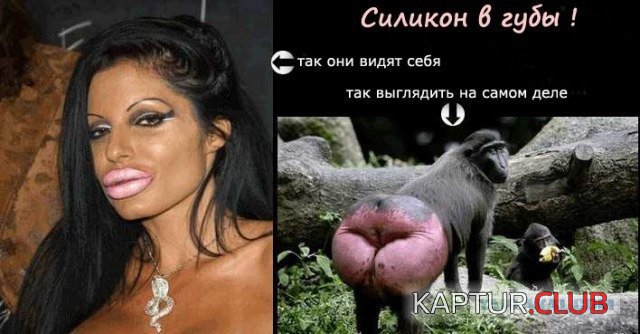 image (51).jpg | Рено Каптур Клуб Россия | Форум KAPTUR.SU