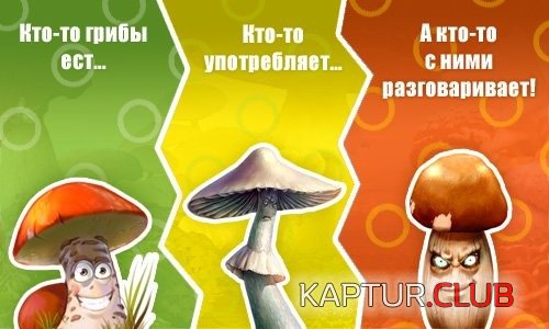 image (6).jpg | Рено Каптур Клуб Россия | Форум KAPTUR.SU