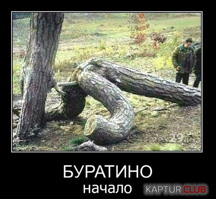 image (63).jpg | Рено Каптур Клуб Россия | Форум KAPTUR.SU