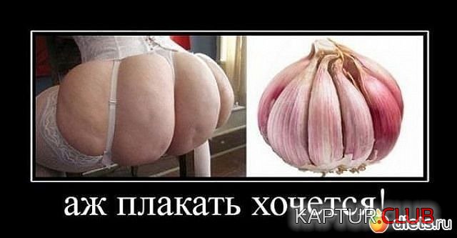 image (64).jpg | Рено Каптур Клуб Россия | Форум KAPTUR.SU