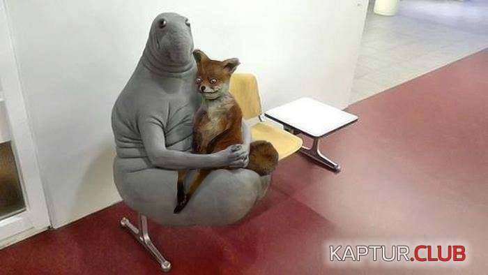 image (69).jpg | Рено Каптур Клуб Россия | Форум KAPTUR.SU