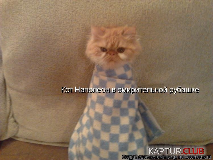 image (8).jpg | Рено Каптур Клуб Россия | Форум KAPTUR.SU