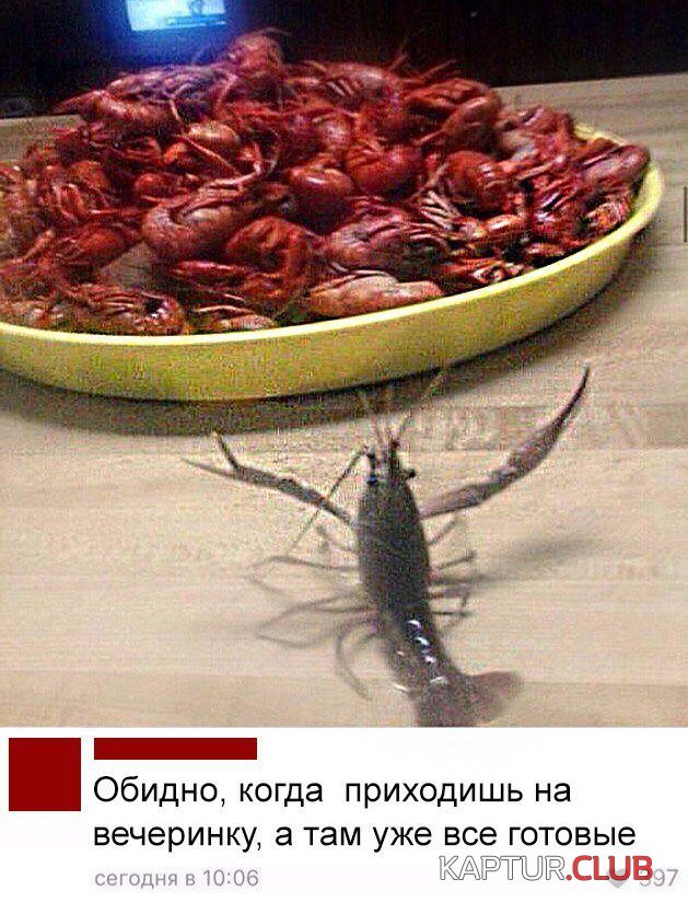 image.jpeg | Рено Каптур Клуб Россия | Форум KAPTUR.SU