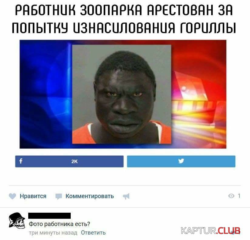 image.jpeg | Рено Каптур Клуб Россия | Форум KAPTUR.SU