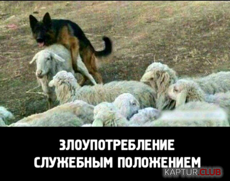 image.jpg | Рено Каптур Клуб Россия | Форум KAPTUR.SU