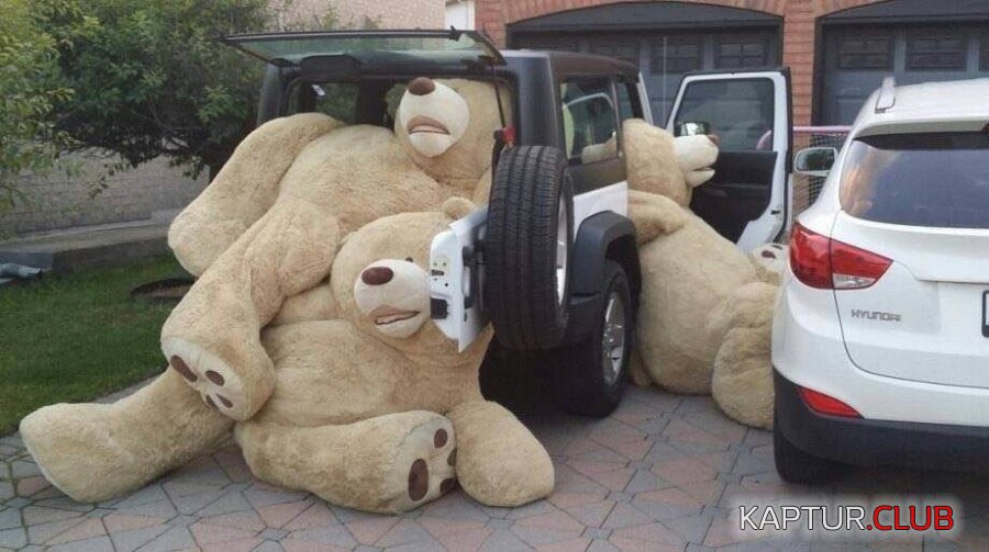 image.jpg | Рено Каптур Клуб Россия | Форум KAPTUR.SU