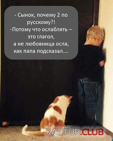 image.jpg | Рено Каптур Клуб Россия | Форум KAPTUR.SU