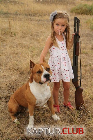 image.jpg | Рено Каптур Клуб Россия | Форум KAPTUR.SU