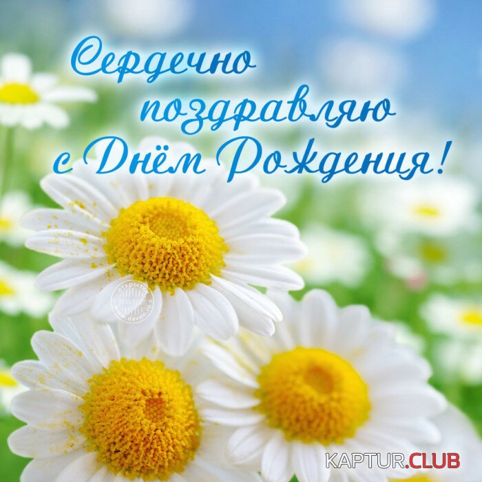 image.JPG | Рено Каптур Клуб Россия | Форум KAPTUR.SU