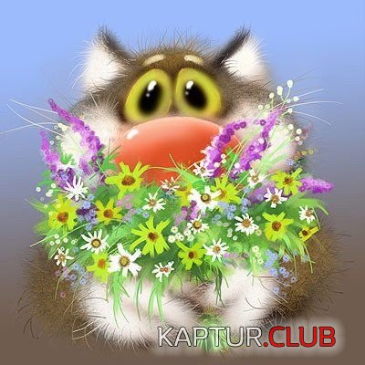 IMG-20170119-WA0001.jpg | Рено Каптур Клуб Россия | Форум KAPTUR.SU