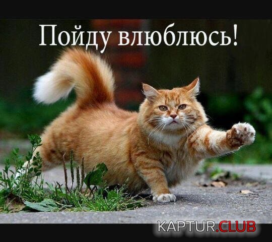 IMG-20170301-WA0010.jpg | Рено Каптур Клуб Россия | Форум KAPTUR.SU