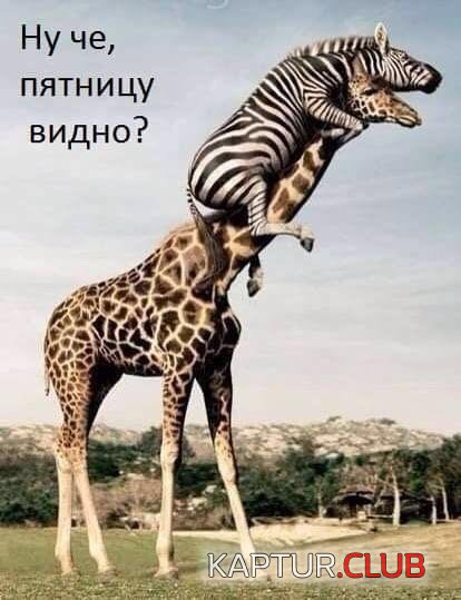 IMG-20170302-WA0003.jpg | Рено Каптур Клуб Россия | Форум KAPTUR.SU
