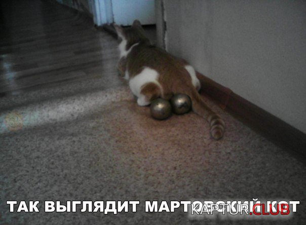 IMG-20170306-WA0020.jpg | Рено Каптур Клуб Россия | Форум KAPTUR.SU
