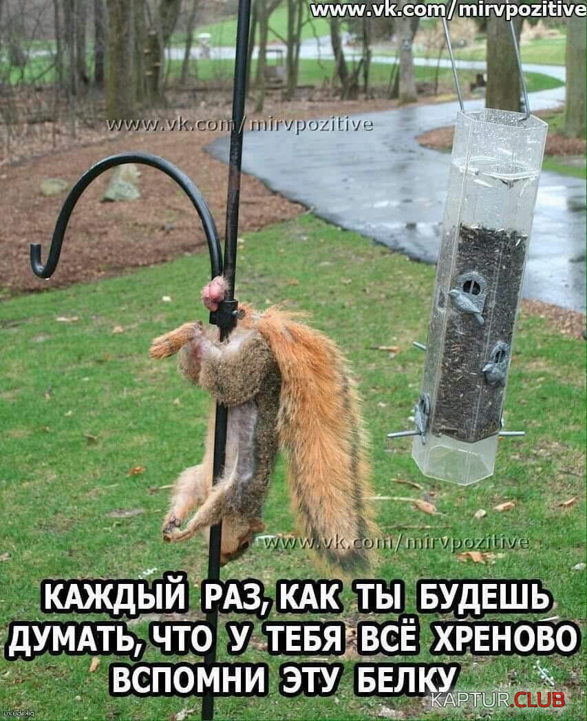 IMG-20170406-WA0001.jpg | Рено Каптур Клуб Россия | Форум KAPTUR.SU