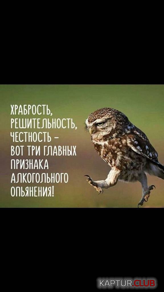 IMG-20170721-WA0014.jpg | Рено Каптур Клуб Россия | Форум KAPTUR.SU