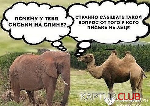 IMG-20180222-WA0000.jpg | Рено Каптур Клуб Россия | Форум KAPTUR.SU