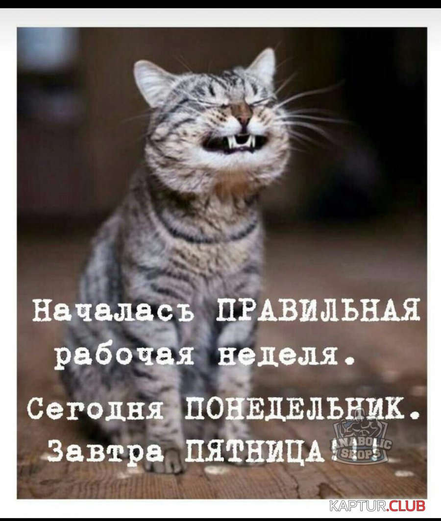 IMG-20180503-WA0011.jpg | Рено Каптур Клуб Россия | Форум KAPTUR.SU