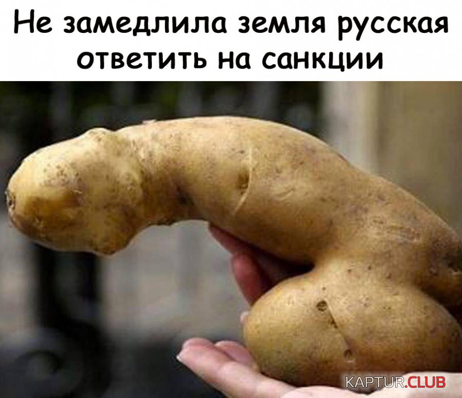 IMG-20180505-WA0020.jpg | Рено Каптур Клуб Россия | Форум KAPTUR.SU