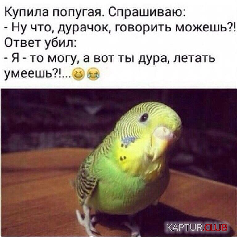 IMG-20180521-WA0005.jpg | Рено Каптур Клуб Россия | Форум KAPTUR.SU