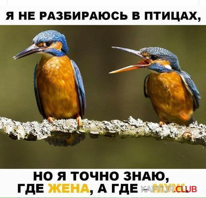 IMG-20180529-WA0000.jpg | Рено Каптур Клуб Россия | Форум KAPTUR.SU