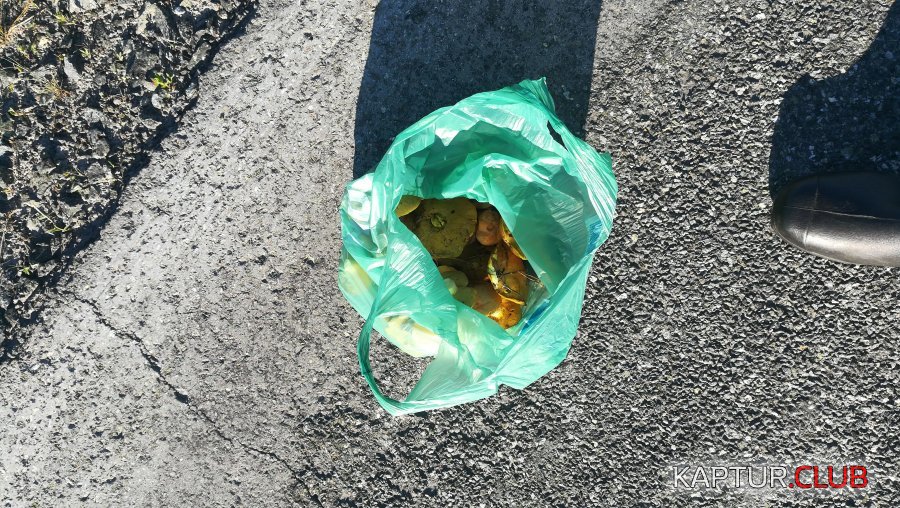 IMG-20180630-WA0070.jpeg | Рено Каптур Клуб Россия | Форум KAPTUR.SU