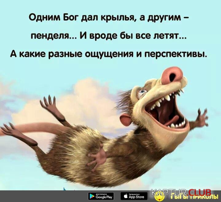 IMG-20180801-WA0001.jpg | Рено Каптур Клуб Россия | Форум KAPTUR.SU