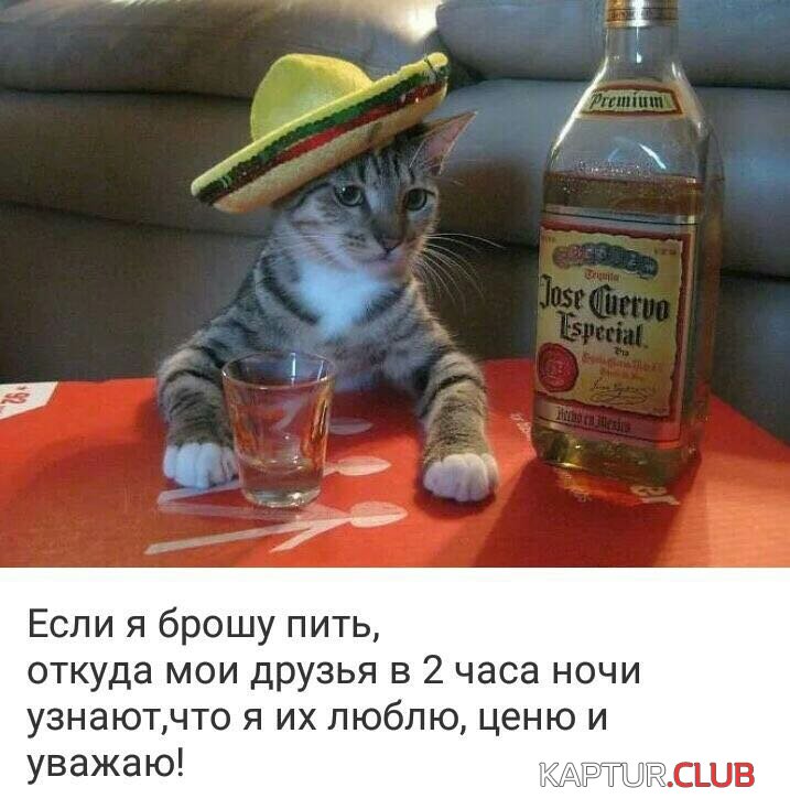 IMG-20180808-WA0023.jpg | Рено Каптур Клуб Россия | Форум KAPTUR.SU