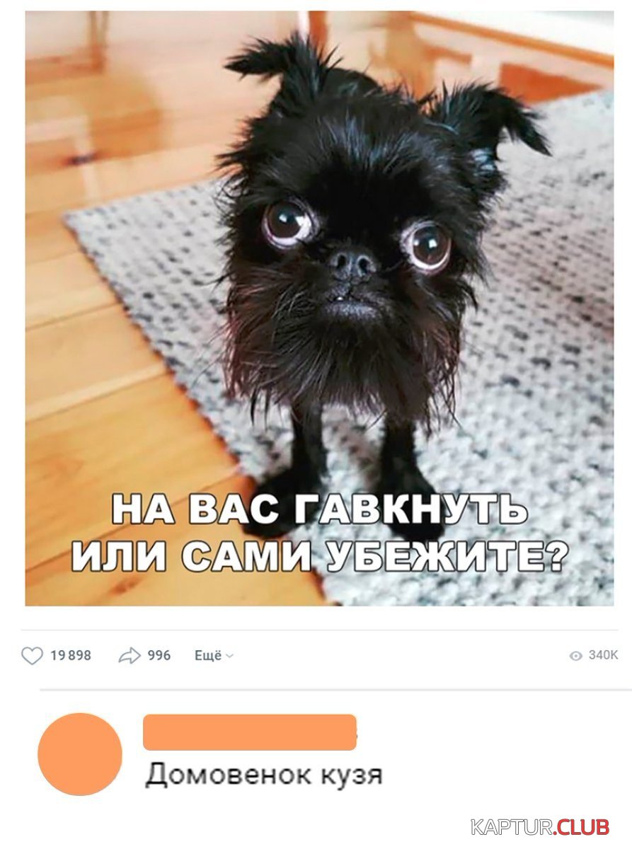 IMG-20181106-WA0024.jpg | Рено Каптур Клуб Россия | Форум KAPTUR.SU