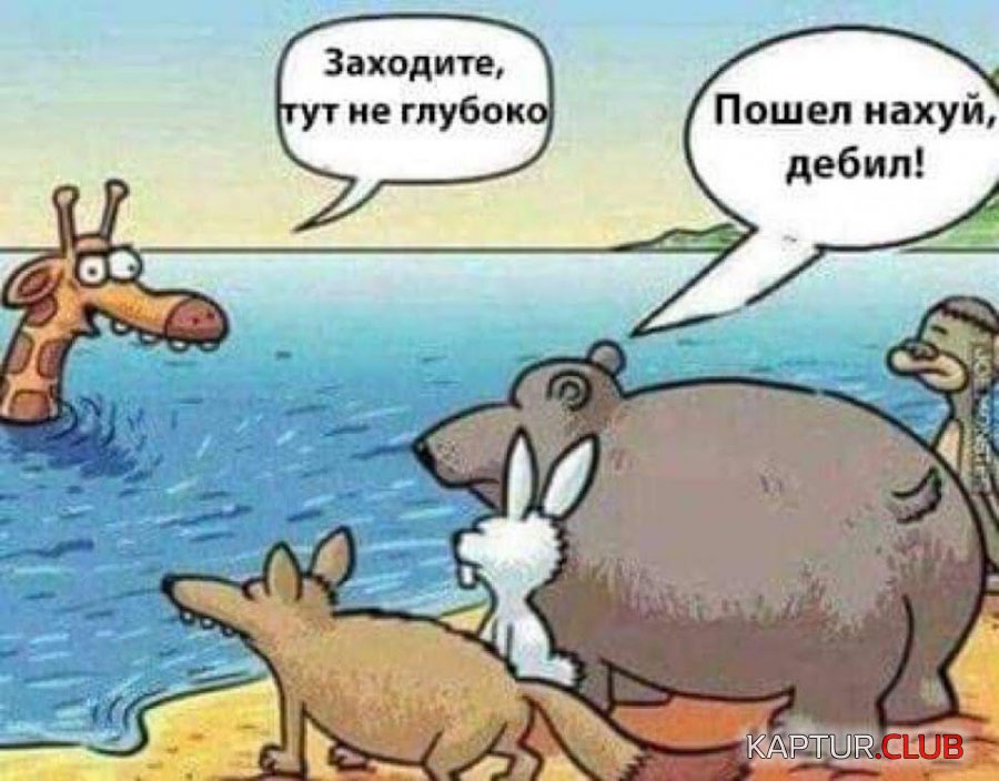IMG-20181115-WA0009.jpg | Рено Каптур Клуб Россия | Форум KAPTUR.SU