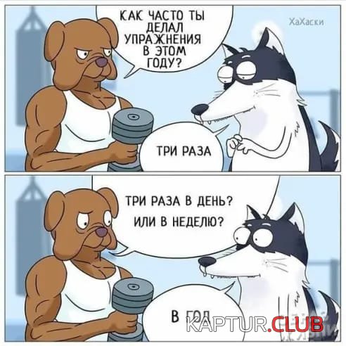 IMG-20181212-WA0000.jpg | Рено Каптур Клуб Россия | Форум KAPTUR.SU