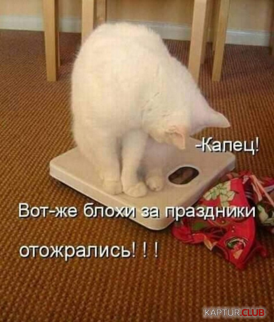 IMG-20190112-WA0018.jpg | Рено Каптур Клуб Россия | Форум KAPTUR.SU