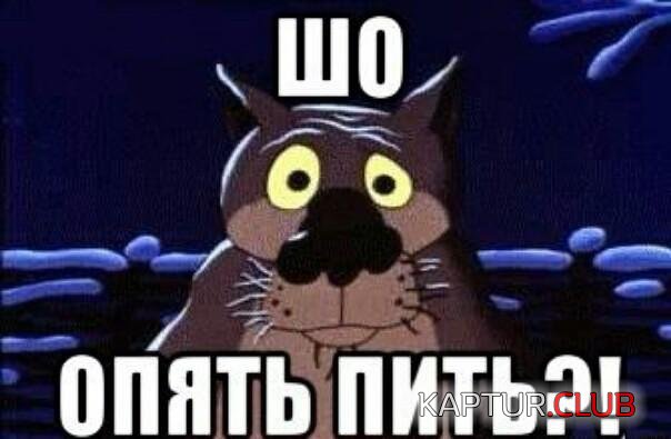 IMG-20190113-WA0000.jpg | Рено Каптур Клуб Россия | Форум KAPTUR.SU