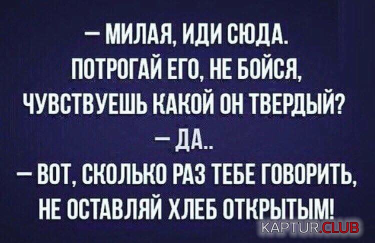 IMG-20190217-WA0036.jpg | Рено Каптур Клуб Россия | Форум KAPTUR.SU