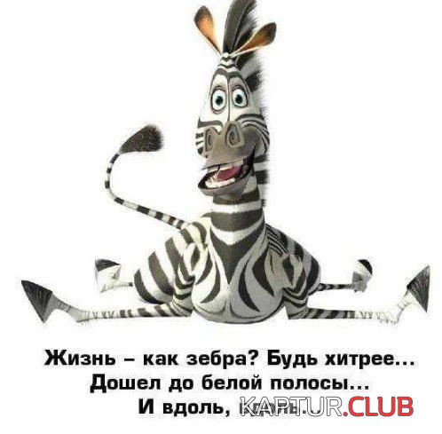 IMG-20190218-WA0003.jpg | Рено Каптур Клуб Россия | Форум KAPTUR.SU