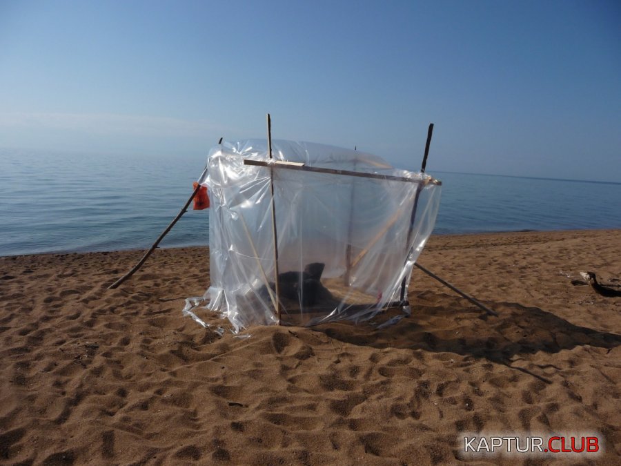 IMG-20190227-WA0011.jpg | Рено Каптур Клуб Россия | Форум KAPTUR.SU