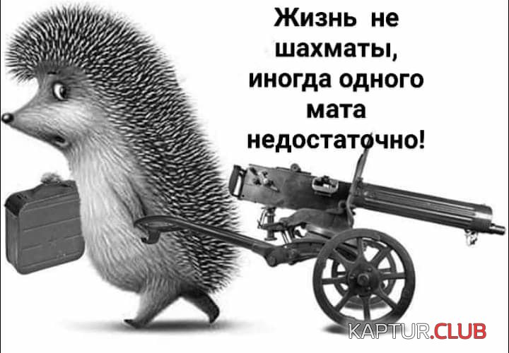 IMG-20190425-WA0000.jpg | Рено Каптур Клуб Россия | Форум KAPTUR.SU