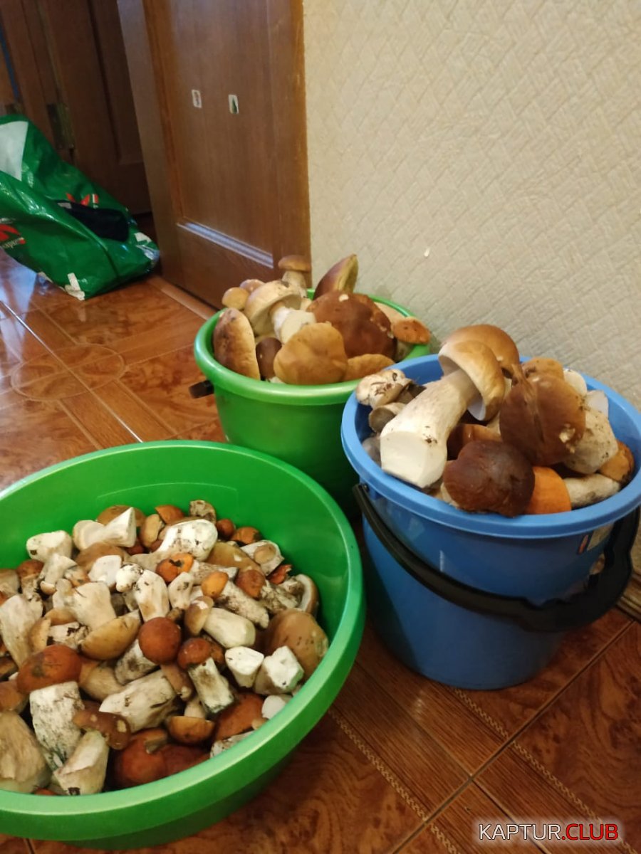 IMG-20190718-WA0046.jpg | Рено Каптур Клуб Россия | Форум KAPTUR.SU