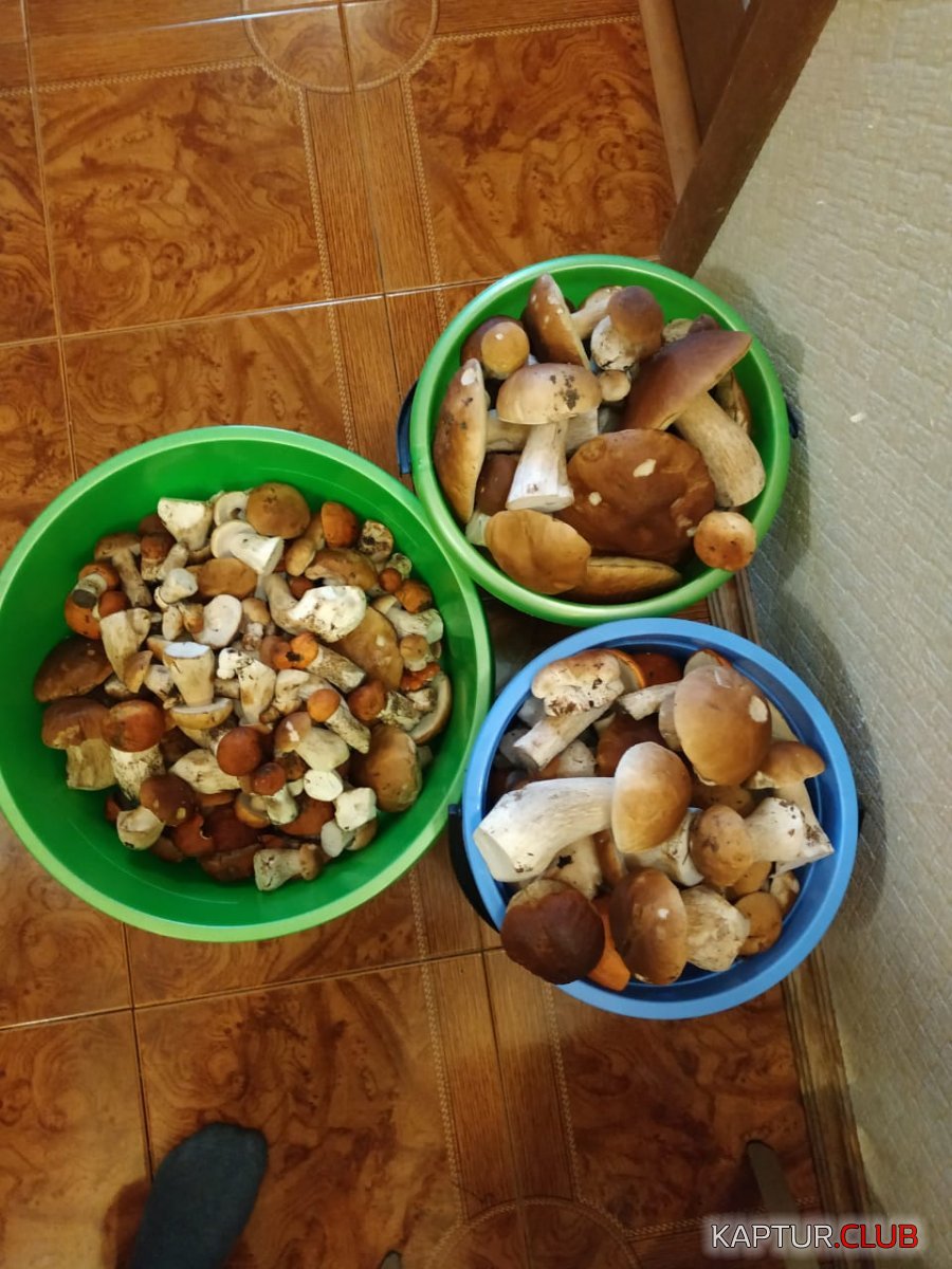 IMG-20190718-WA0047.jpg | Рено Каптур Клуб Россия | Форум KAPTUR.SU
