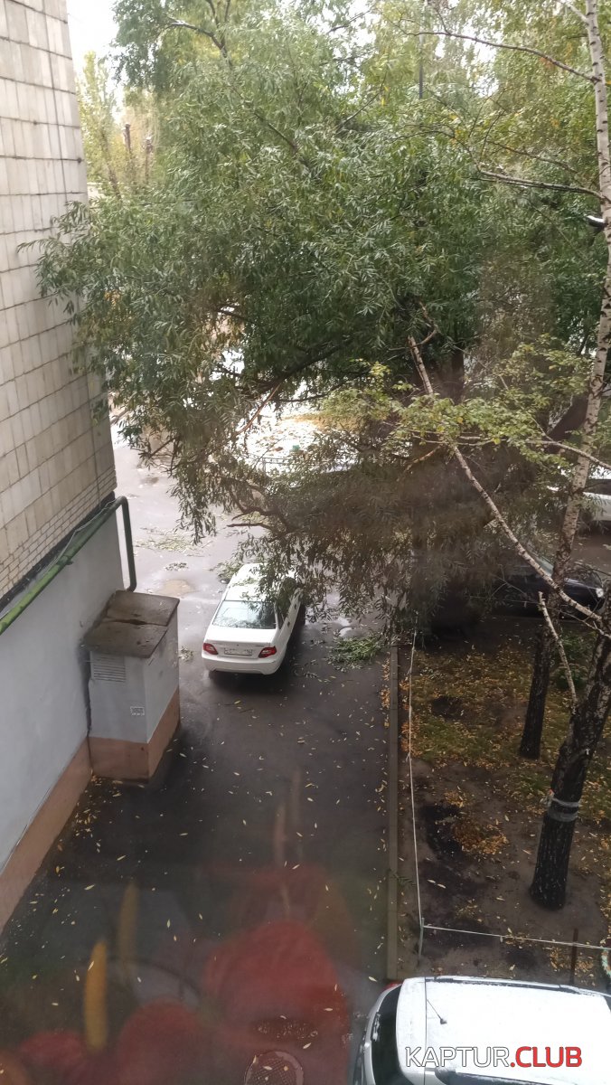 IMG-20190924-WA0001[1].jpeg | Рено Каптур Клуб Россия | Форум KAPTUR.SU