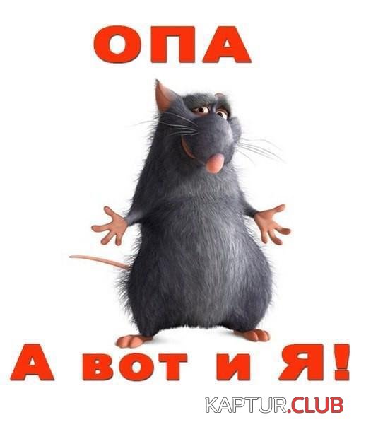 IMG-20200101-WA0005.jpg | Рено Каптур Клуб Россия | Форум KAPTUR.SU