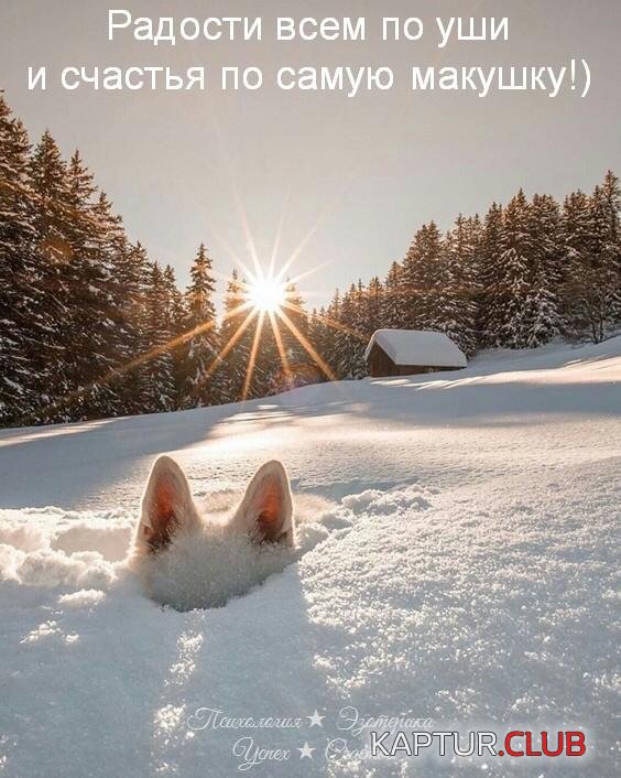 IMG-20200213-WA0001.jpg | Рено Каптур Клуб Россия | Форум KAPTUR.SU