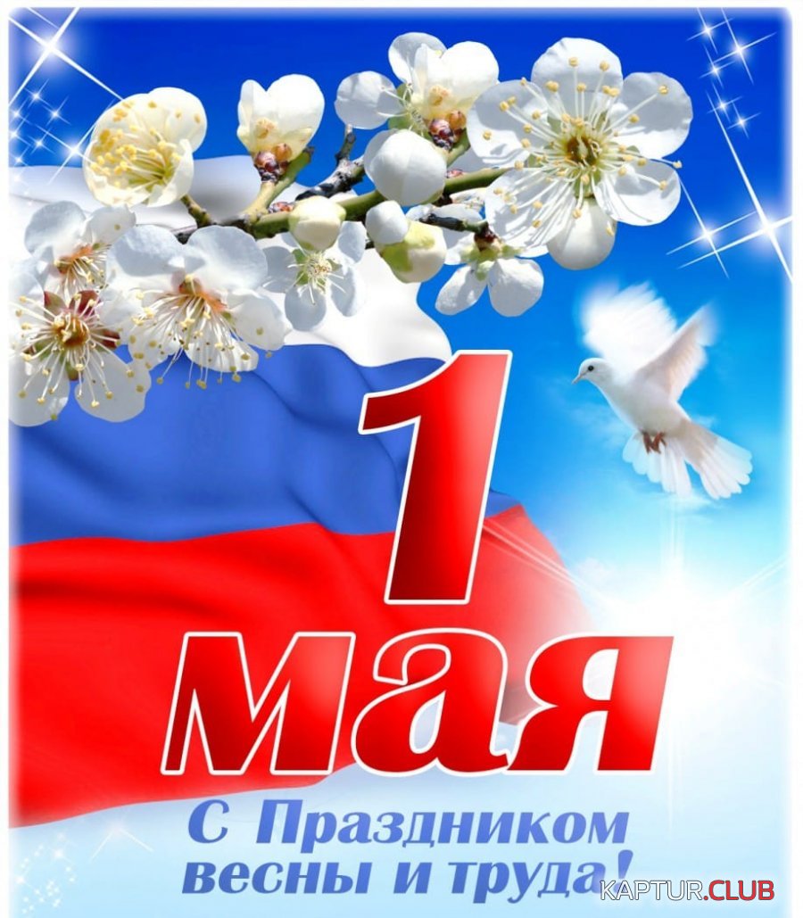 IMG-20200501-WA0000.jpg | Рено Каптур Клуб Россия | Форум KAPTUR.SU