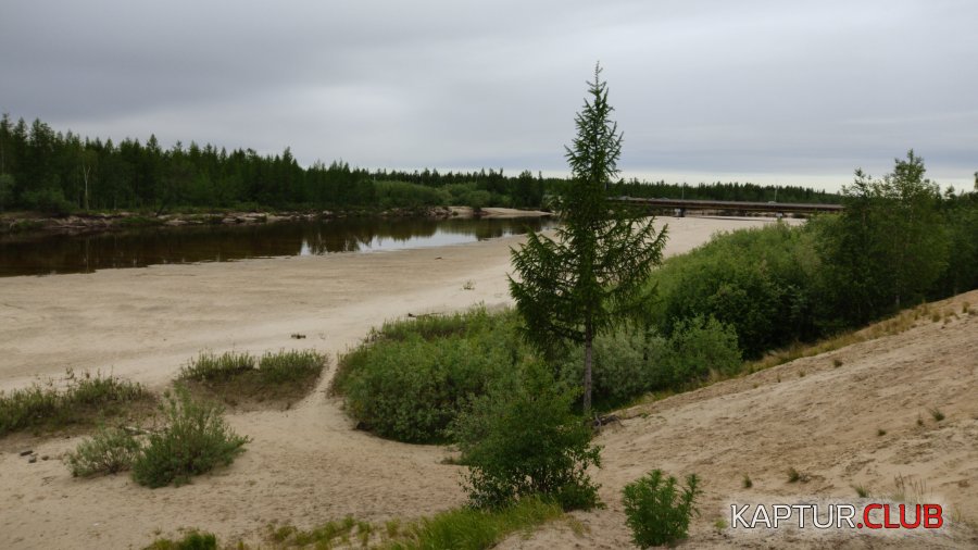 IMG-20200620-WA0003.jpeg | Рено Каптур Клуб Россия | Форум KAPTUR.SU